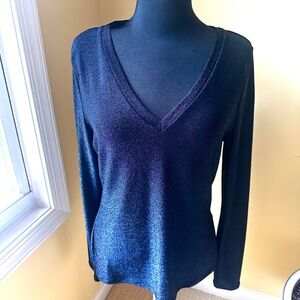 White House Black Market Fitted Blue Long Sleeve Blouse